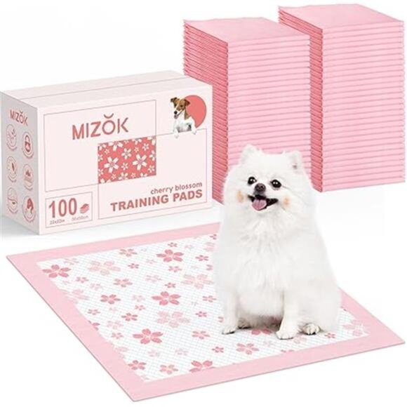 100 Cute Pet Pads 22"x 22"Leak-Proof Quick-Dry Design Pee Pads for Pets - Picture 10 of 10